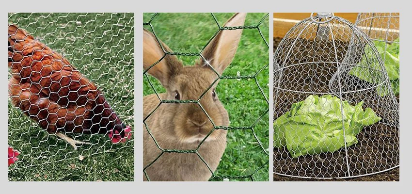 Chicken Wire Mesh application Chicken Wire Mesh application